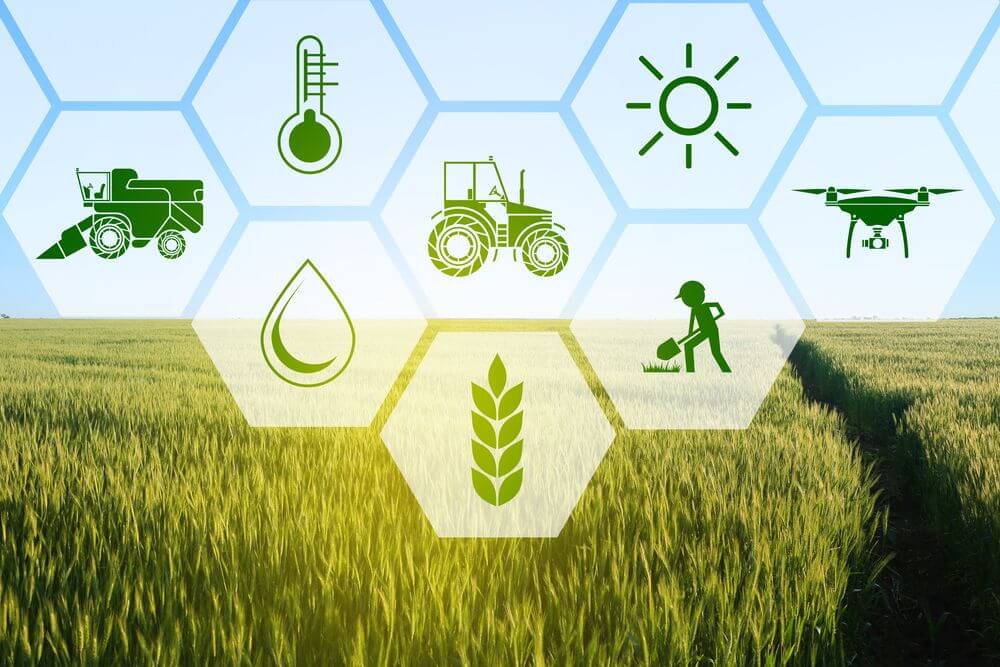 Agriculture 2