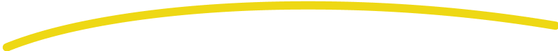 border vector